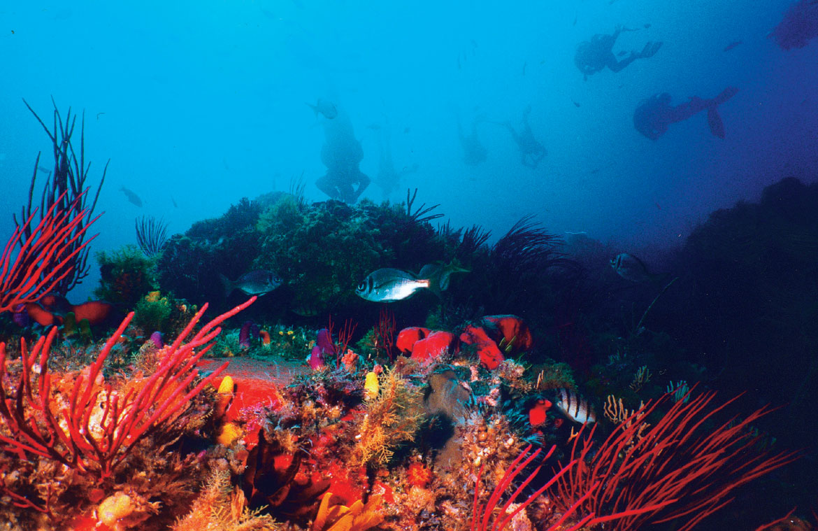 Adventure & Sports Nelson Mandela Bay (Port Elizabeth)